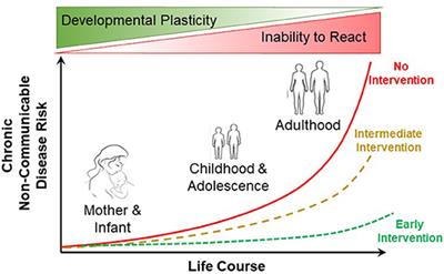 Developmental Physiology: Grand Challenges